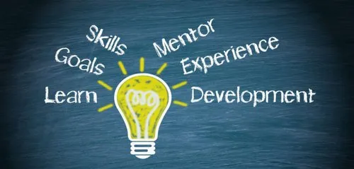 Internship-Bulb