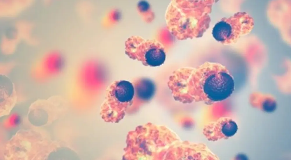 Diet-During-Immunotherapy